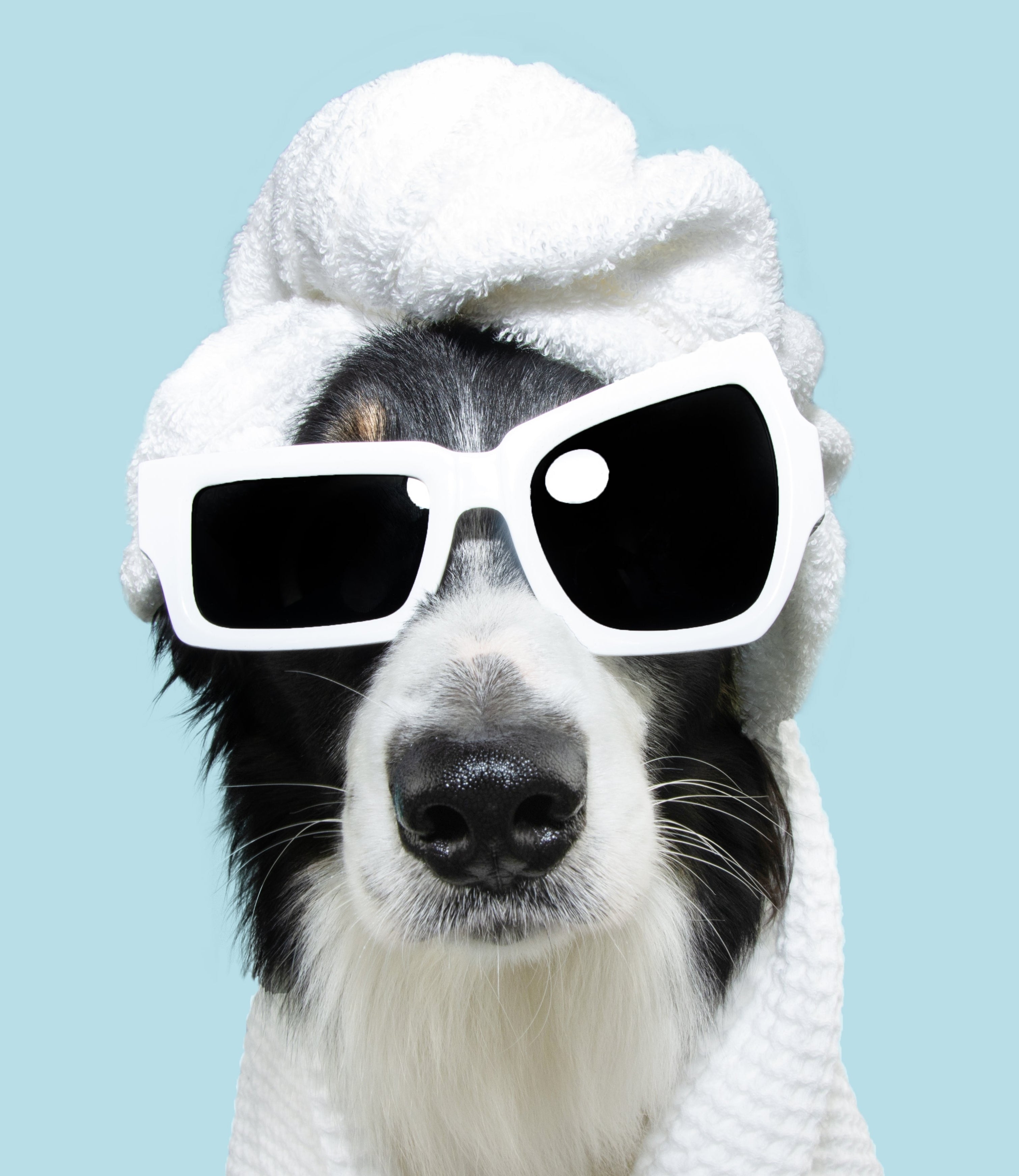 Playful SLATE Body brand personality – a stylish dog in a bathrobe and towel, embodying self-care and luxury skincare