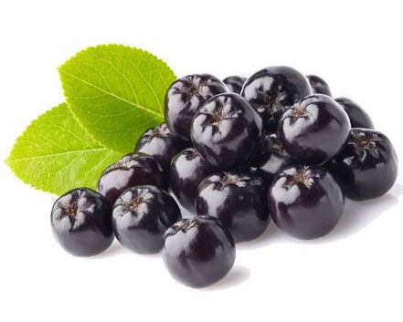 Dark purple fruits with green leaves on a white background