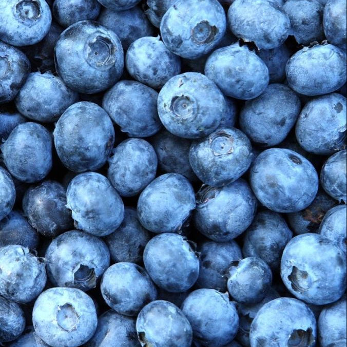 Close-up of ripe blueberries, packed with antioxidants for skin protection and radiance