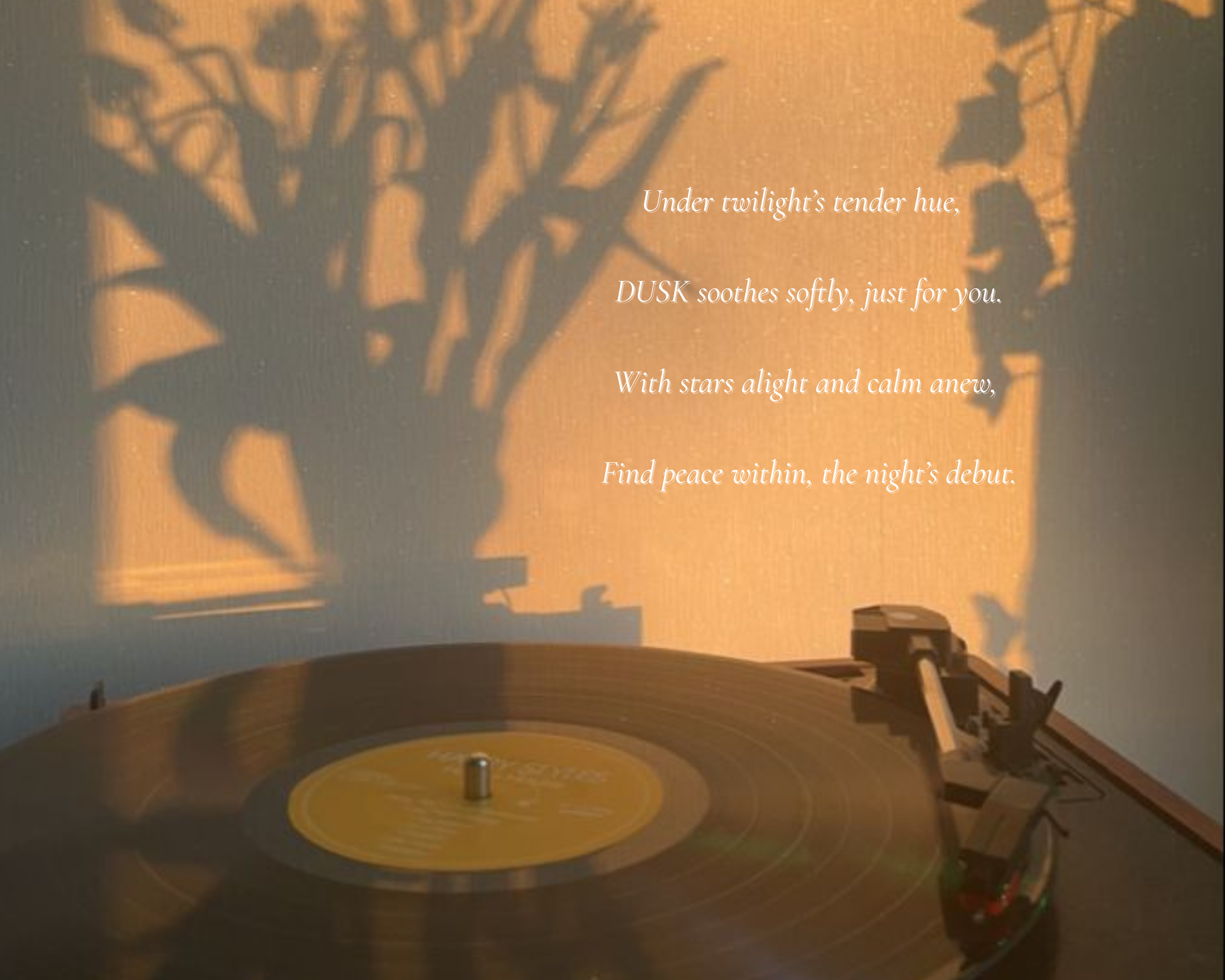 Turntable with a vinyl record on a wooden surface, with a silhouette of a person and plant in the background.