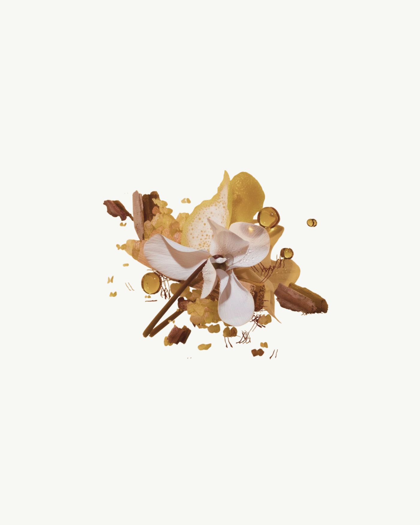 SCENT